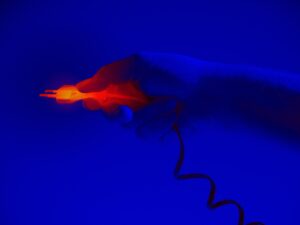 Mehr über den Artikel erfahren Infrarotheizung mit Bild – Infrarotheizer als Heizalternative