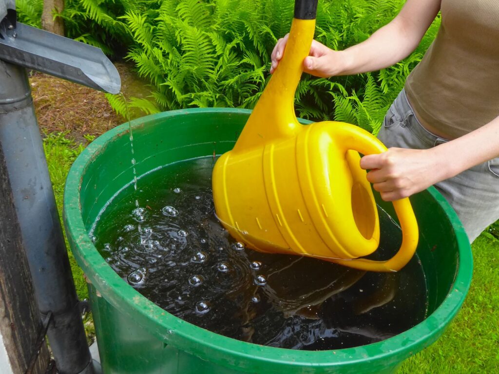 frau fuellt gelbe giesskanne mit regenwasser aus tonne im garten
